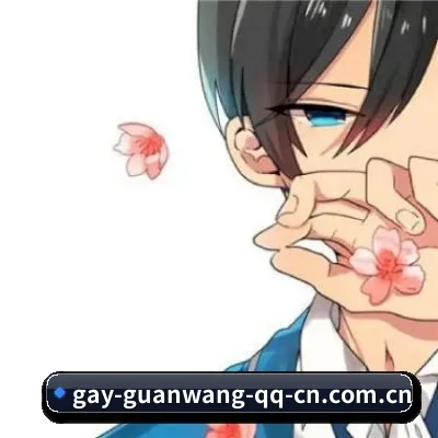 功能完善